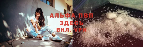 сатива Абинск