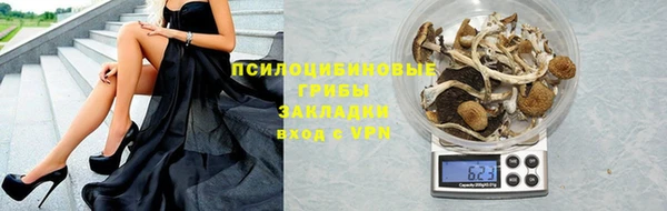 сатива Абинск