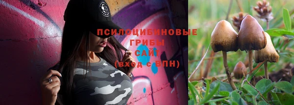 ALPHA PVP Абаза