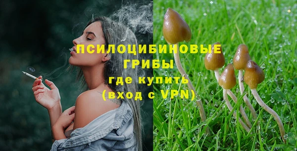 дмт Абдулино
