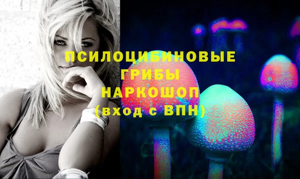 сатива Абинск